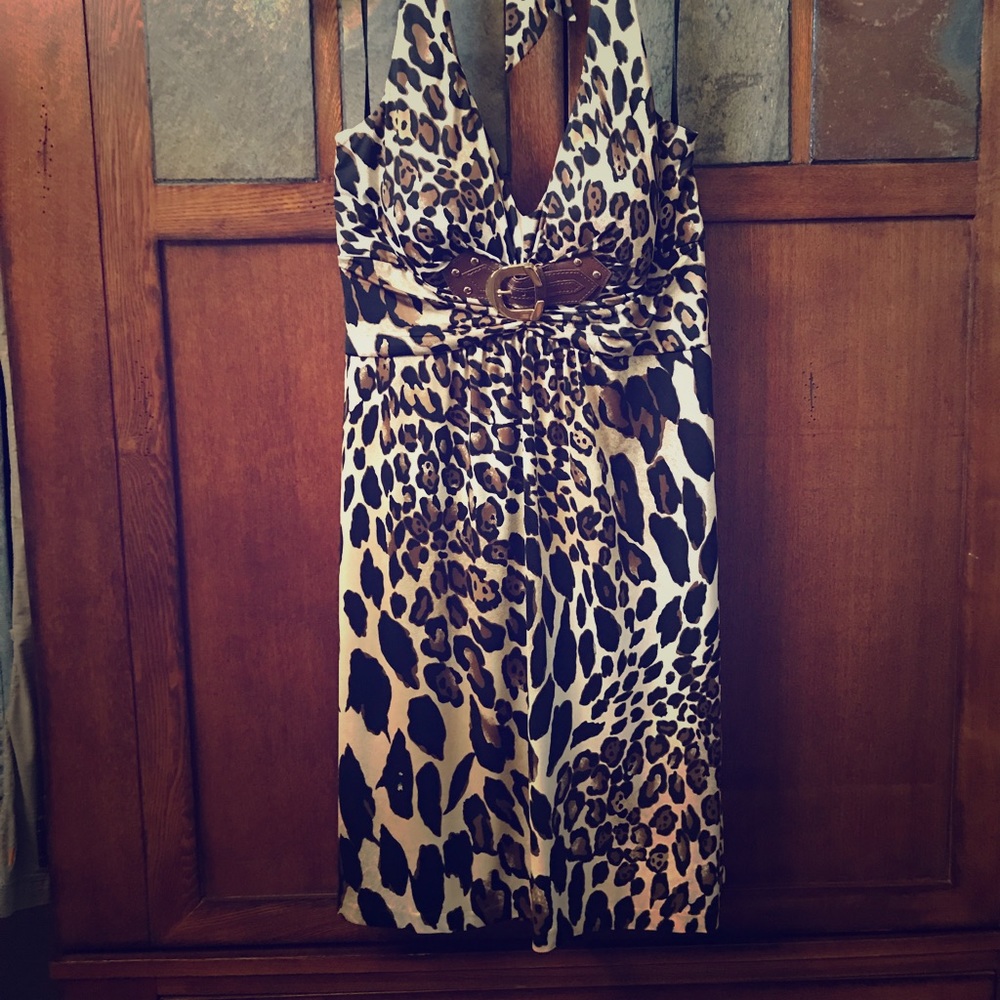 Cache Halter Dress